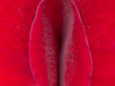 EXPERIENCIA, SUPER SENSORIAL EN EL FETICHISMO